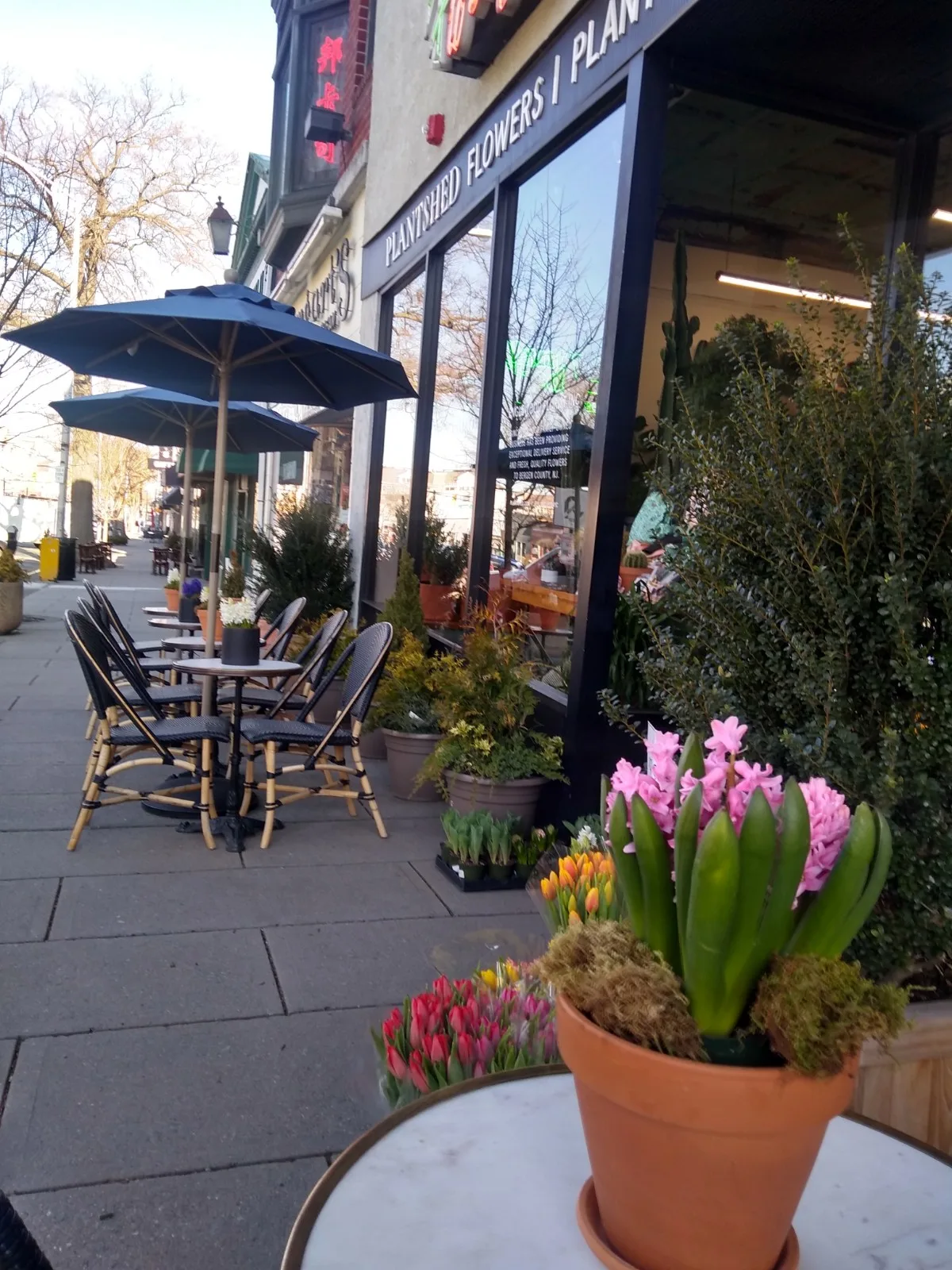 PlantShed with Englewood Florist, Inc.