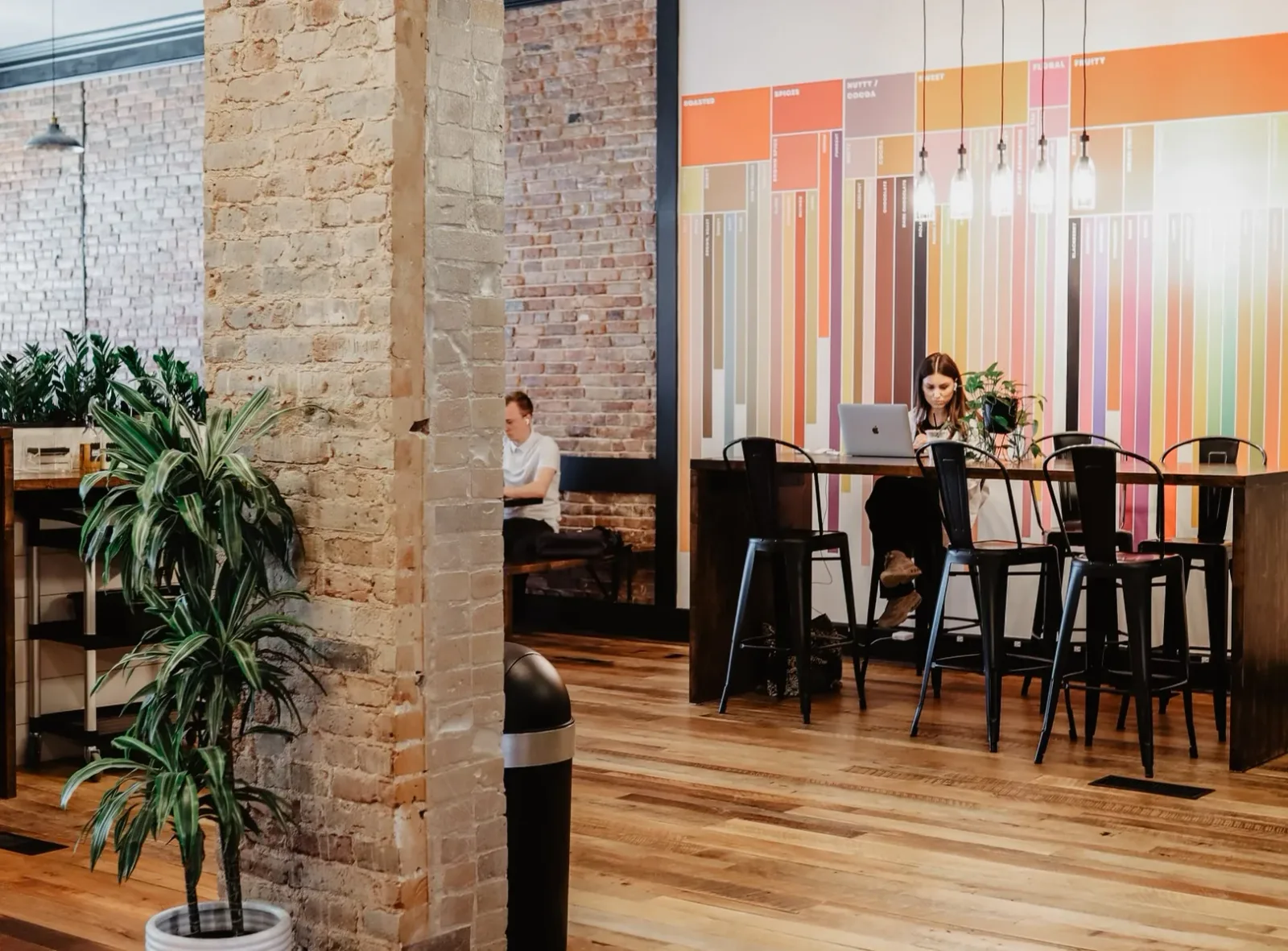 Purebred Coffee Co. in Dayton — specialty coffee roaster