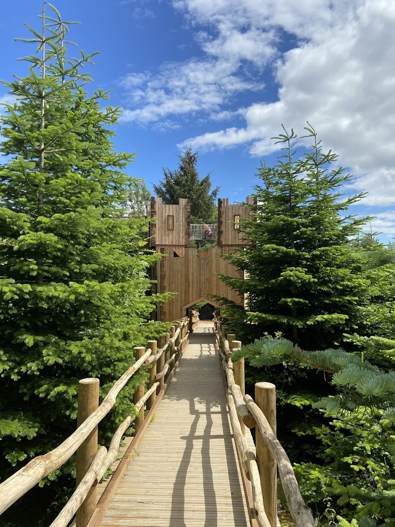 Raby Castle, Deer Park & The Plotters' Forest in Durham — specialty coffee cafe