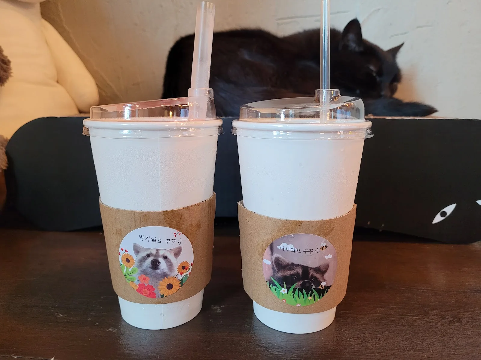 raccoon café: kkukkune, raccoon cafe in seoul