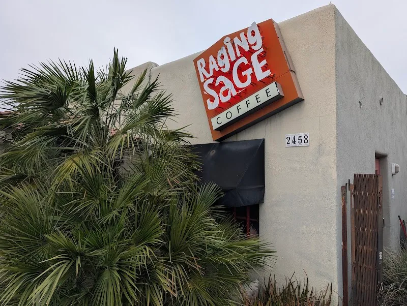raging sauce coffee shop exterior with cream building and palm trees., raging sage coffee roasters, arizona