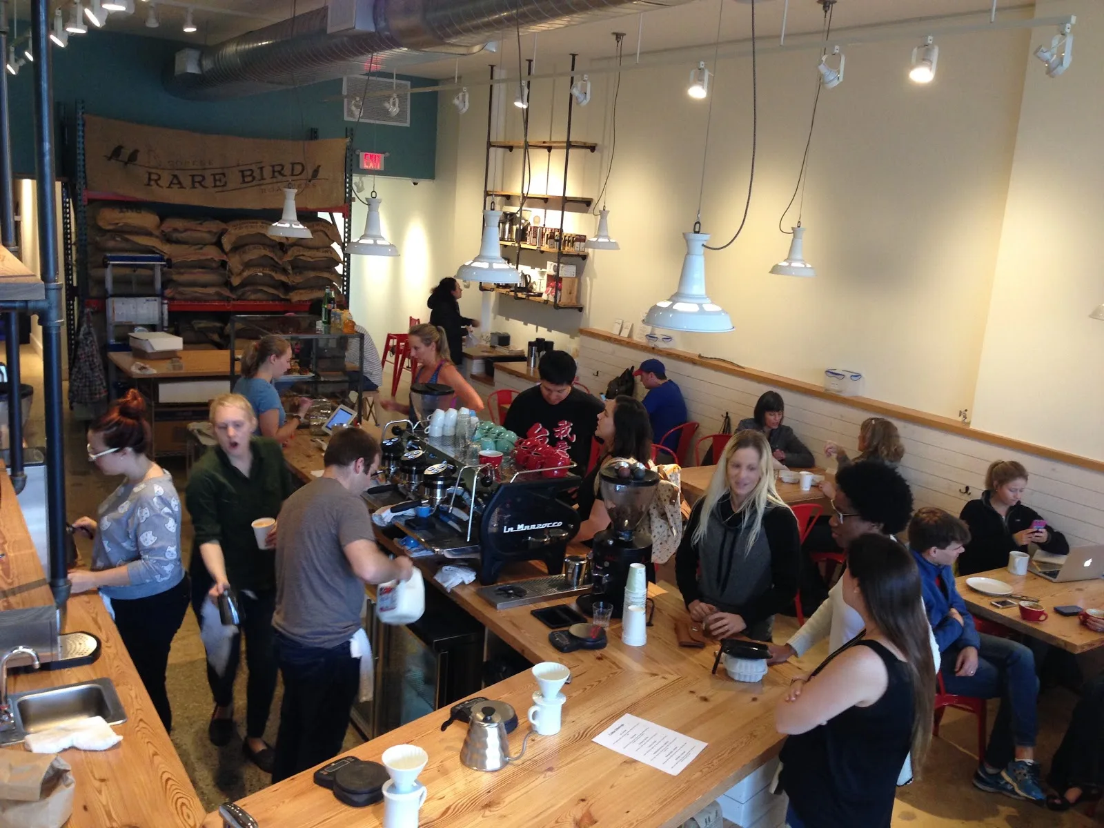 Rare Bird Coffee Roasters in Washington — specialty coffee cafe
