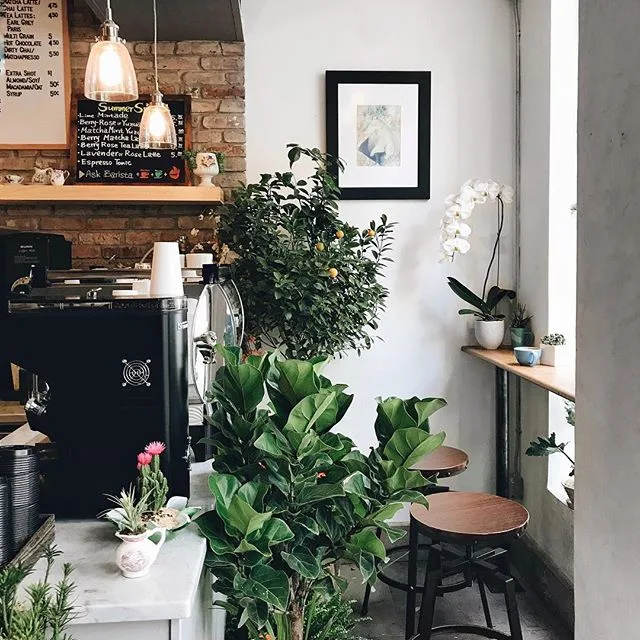Remi Flower & Coffee in New York City, specialty coffee cafe