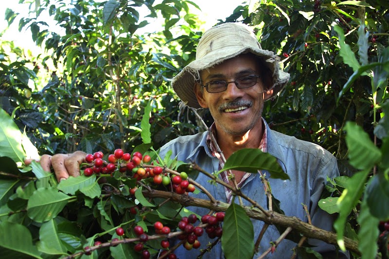 Revolver Co-operative Ltd