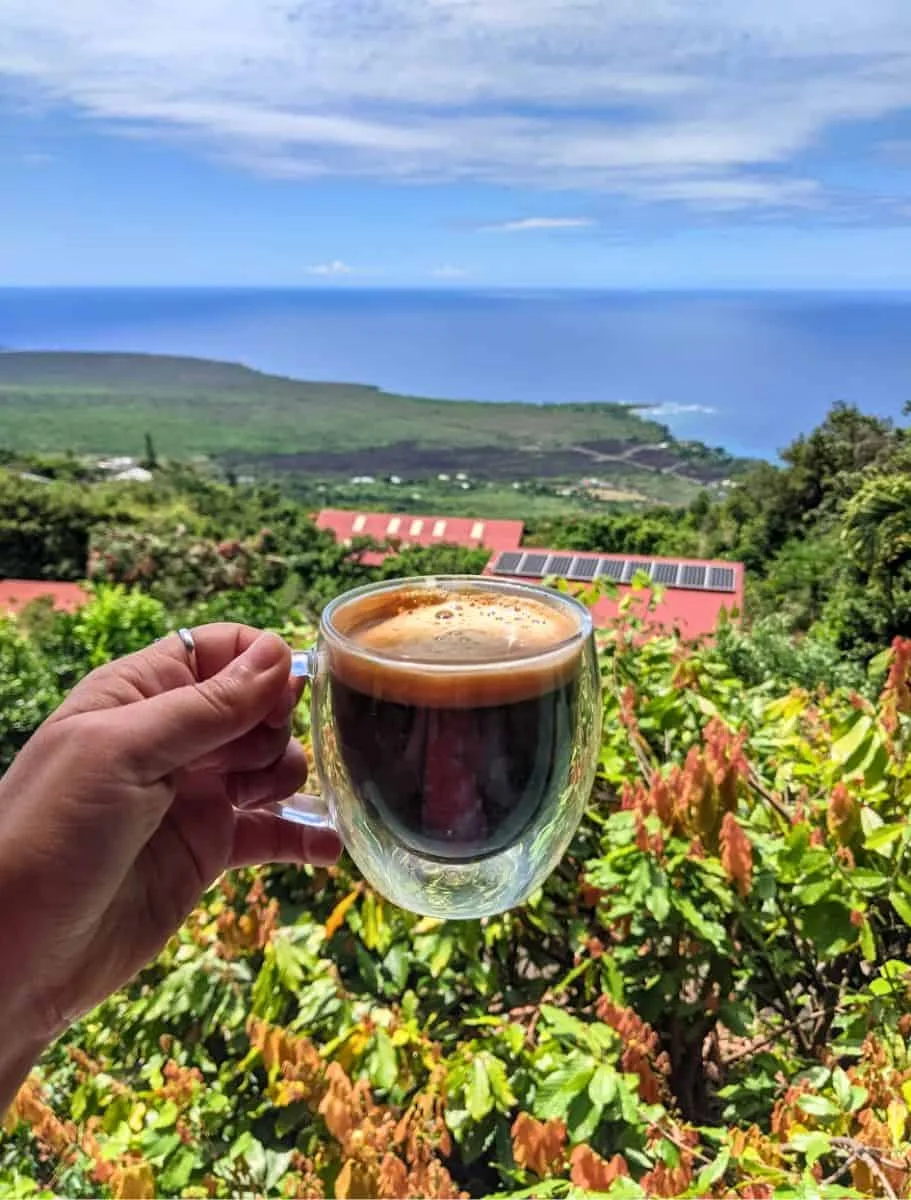 hand holding dark coffee with ocean view over agricultural fields and red-roofed farm., rising kona coffee farm tours, holual