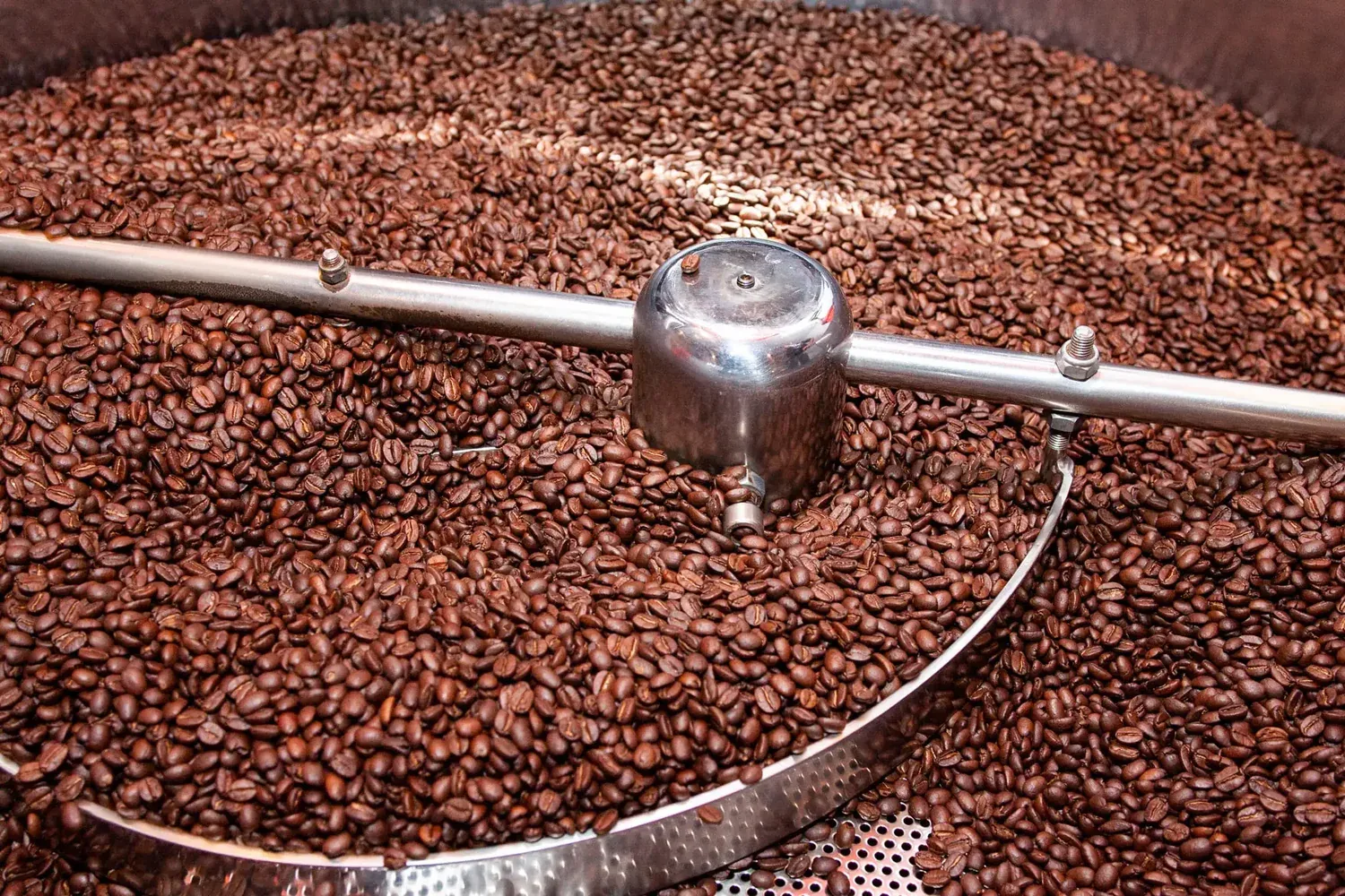 coffee beans roasting in a drum roaster with metal stirring mechanism visible., roasted!, tampa