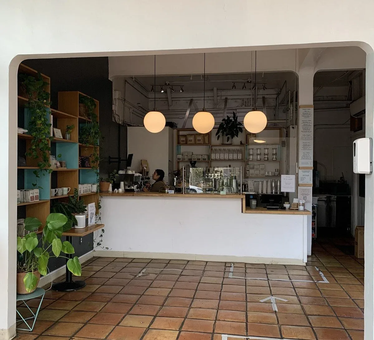 modern café interior with pendant lights, wooden shelving, and potted plants., rose park roasters, los angeles