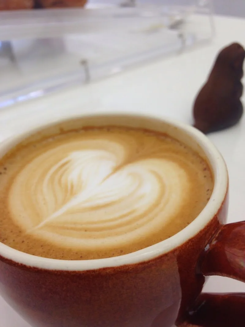 latte with leaf latte art in burgundy cup on white saucer., roundtable coffee works, saint paul