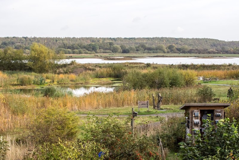 RSPB Dearne Valley - Old Moor in Barnsley — specialty coffee cafe