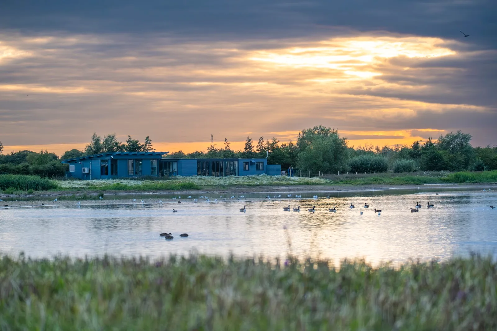 RSPB Frampton Marsh