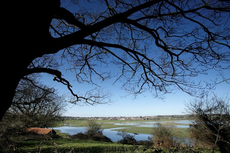 RSPB Pulborough Brooks in Horsham — specialty coffee cafe