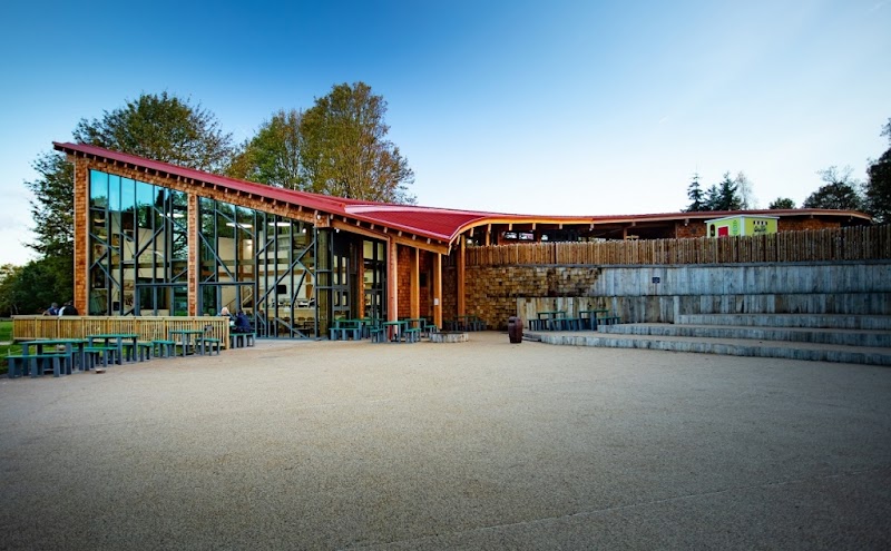 RSPB Sherwood Forest and Budby South Forest in Edwinstowe — specialty coffee cafe