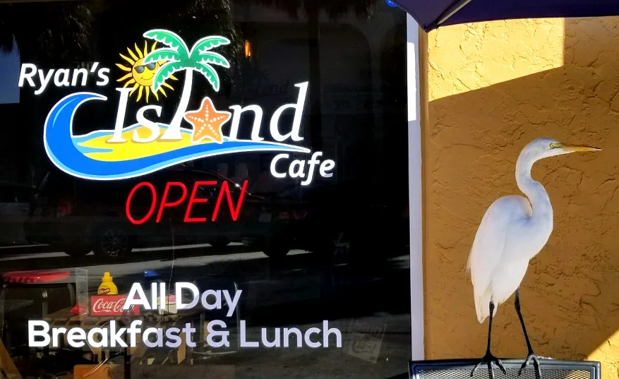 ryan's island cafe neon sign with white egret statue and open sign displayed., ryan's island cafe, clearwater
