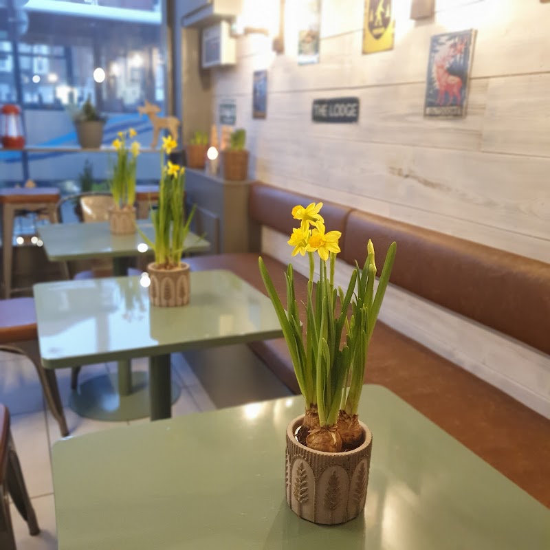 Scottish Seabird Centre in Haddington — specialty coffee cafe