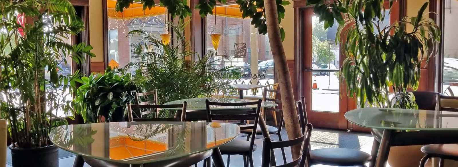 modern café interior with abundant greenery, glass tables, and street-facing windows., shaw's coffee, st. louis