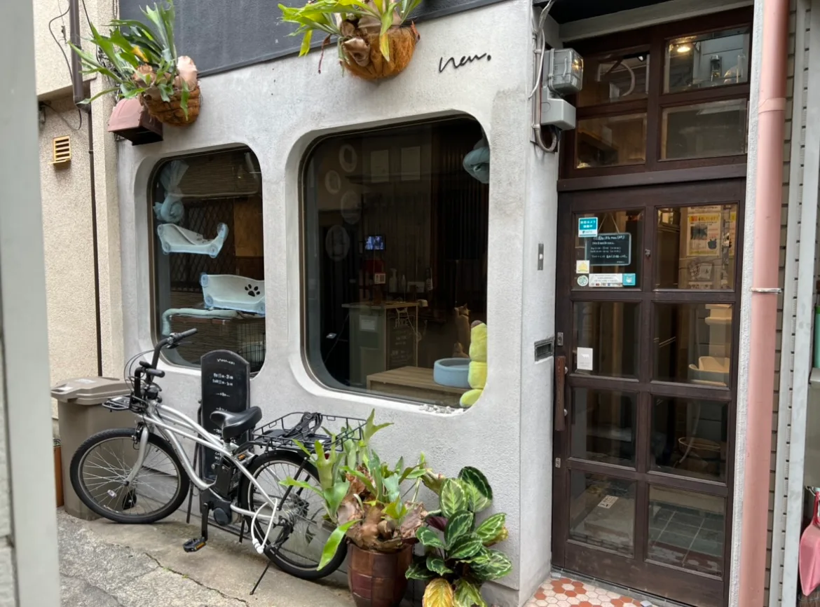 shelter cat & VEGAN café “neu” in Osaka, specialty coffee cafe
