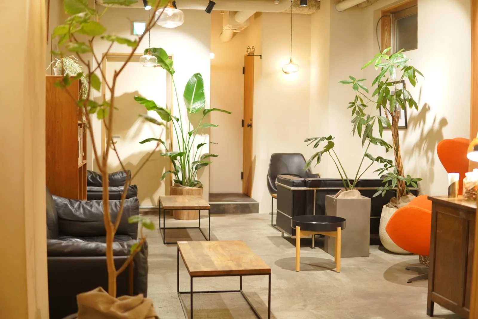 shisha & coffee polepole in Yokohama, specialty coffee cafe