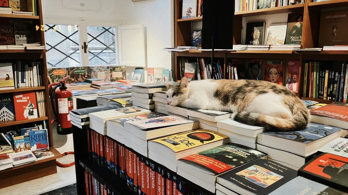 cat lounging on stacked books in a library surrounded by shelves., spazio sette libreria, rome