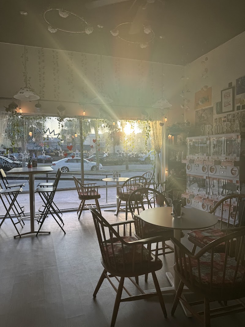 Stardust Cafe | Teas Days in Sarasota, specialty coffee cafe