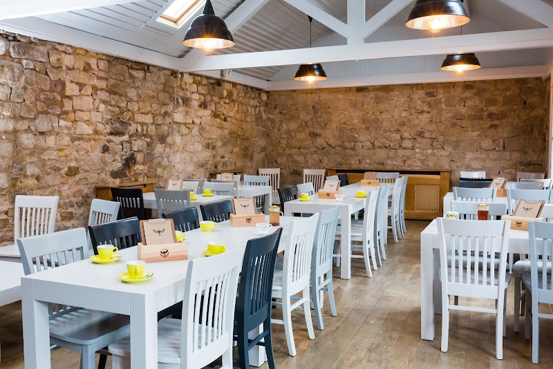 Starling in Harrogate — specialty coffee cafe