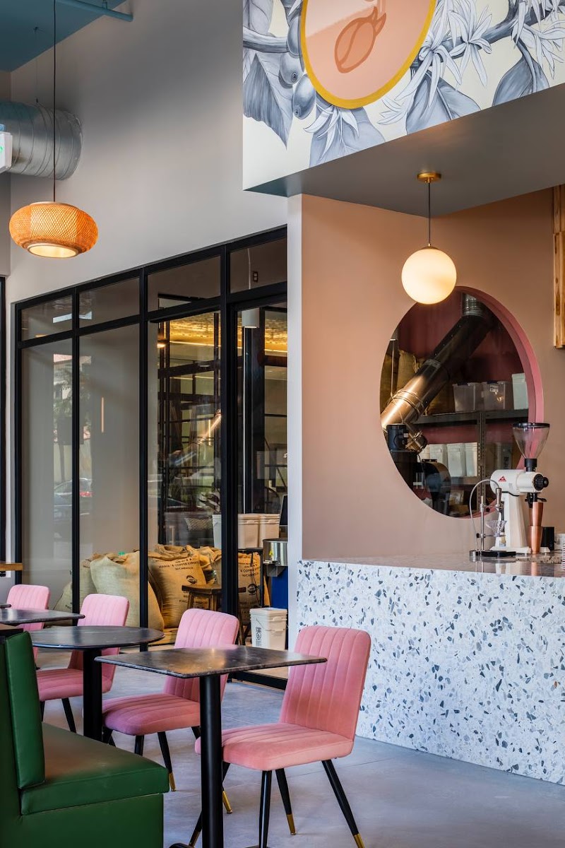 Stemma Craft Coffee in Orlando — specialty coffee cafe
