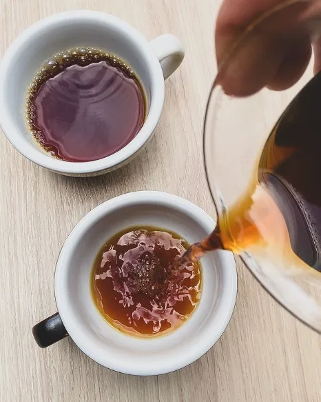 Studio Grão Coffee Roasters in Brasília, specialty coffee roaster
