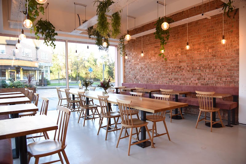 Sycamore in Amersham — specialty coffee cafe