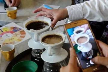 Tea Temple in Bogotá — specialty coffee cafe