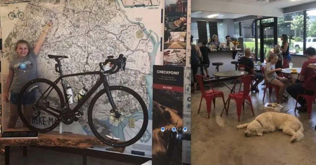 The Bike Lane Bicycle Shop and Brewery