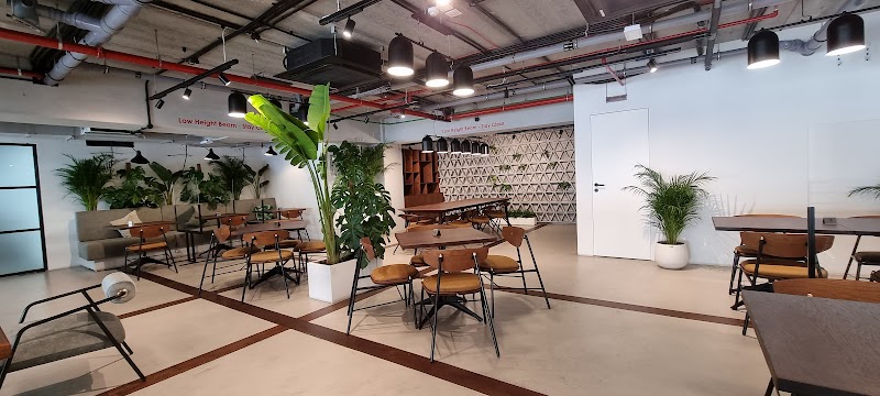 The Coffee Lab - Specialty Coffee Roasters — specialty coffee roaster in Dubai