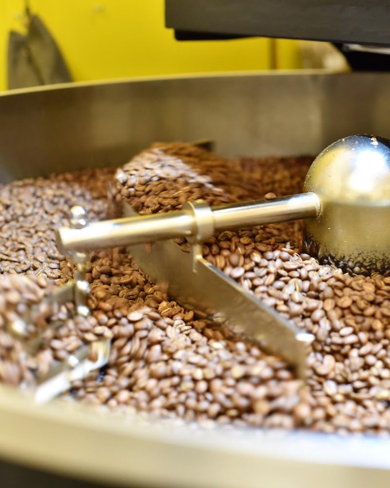 The Coffee Officina