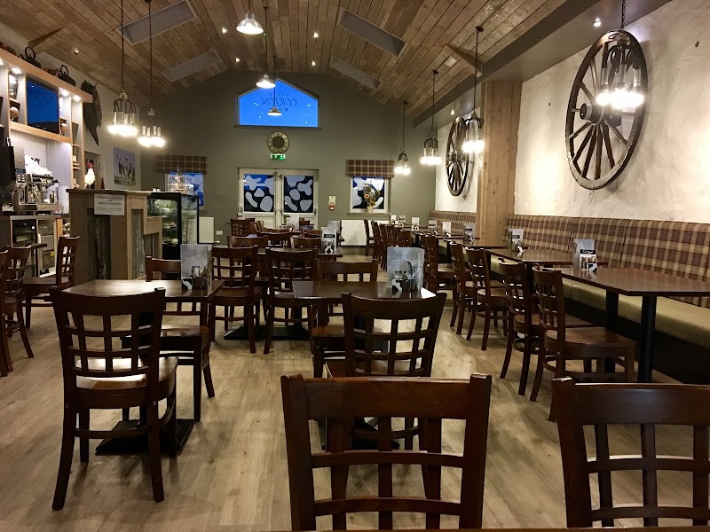 The Coo Shed in Ayr — specialty coffee cafe