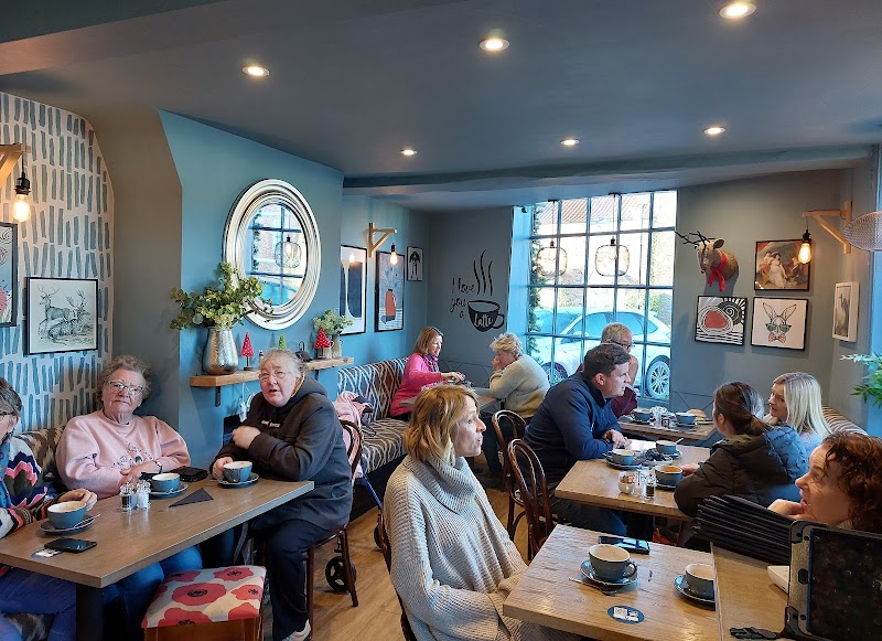 The Curious Coffee Company in Easingwold — specialty coffee cafe