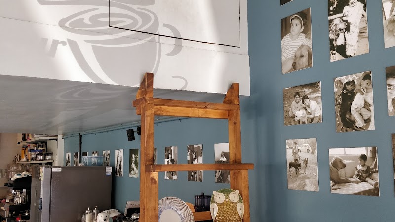 The Fat Labrador Café in Pune — specialty coffee cafe