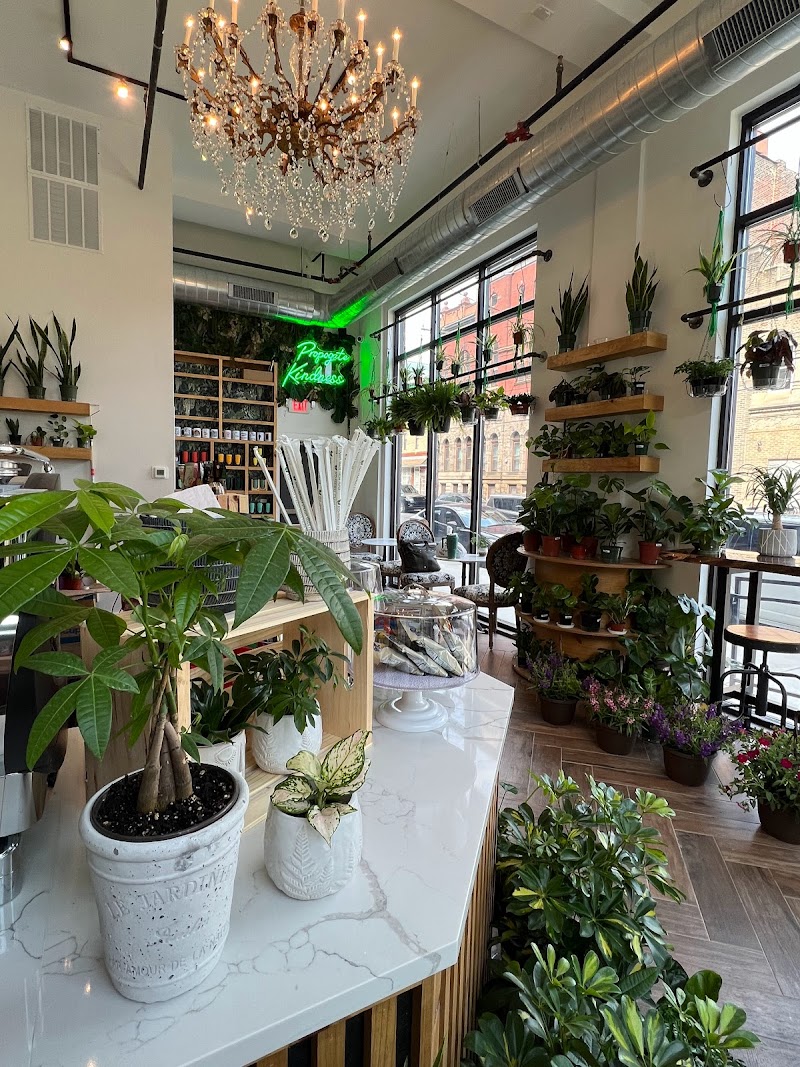 The Ground Coffee, Plants & Gifts in Philadelphia, specialty coffee cafe