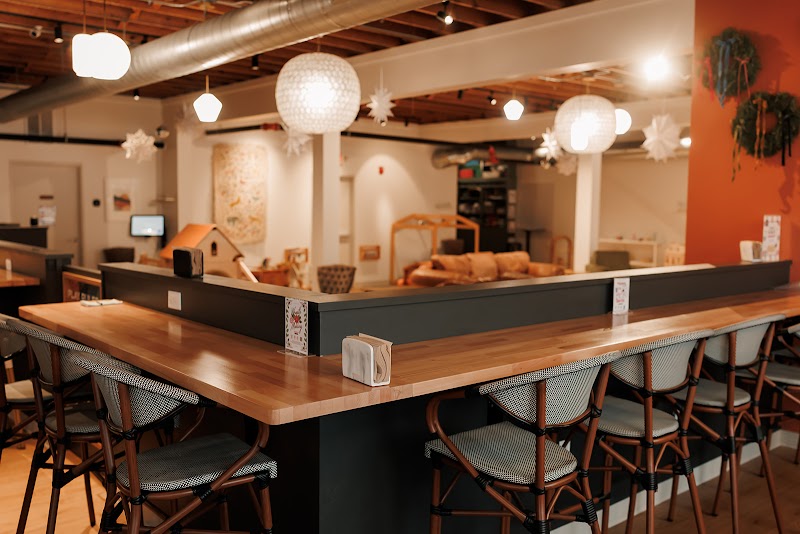The Little Village Play Cafe in Wauwatosa — specialty coffee cafe
