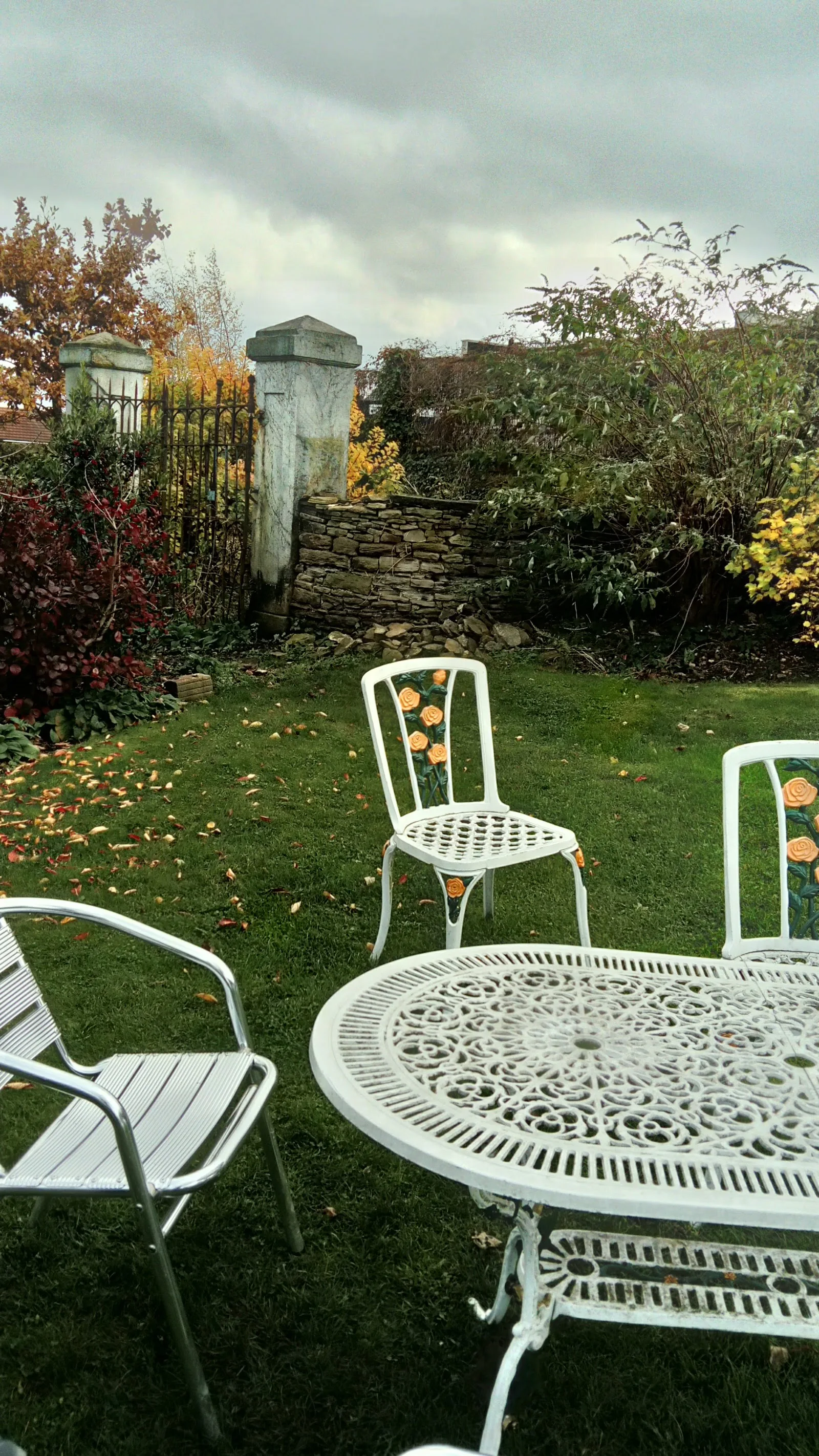 The Rhubarb Shed Cafe
