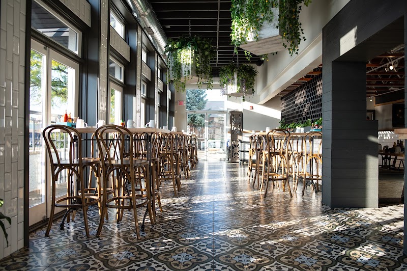 The White Sheep in Chicago, specialty coffee cafe