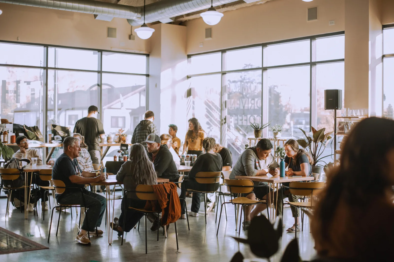 modern cafe space with large windows, people seated at tables conversing and working., thunder coffee, fargo