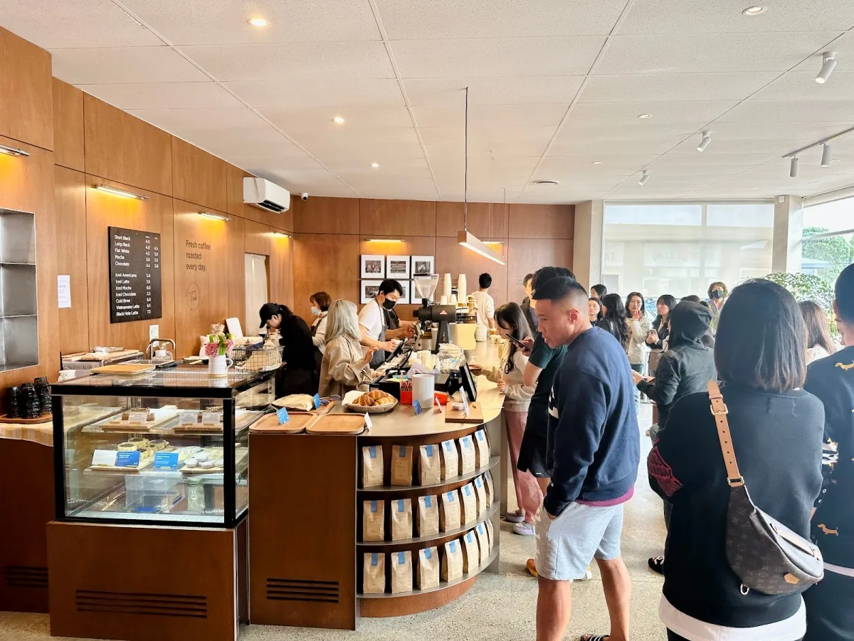 busy coffee shop interior with wooden counters and waiting customers., tob coffee, auckland