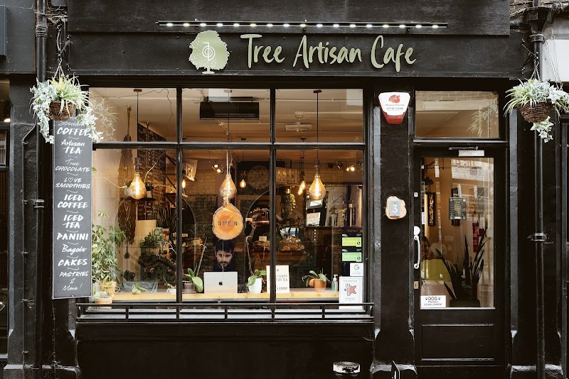 Tree Artisan Café in Oxford, specialty coffee cafe