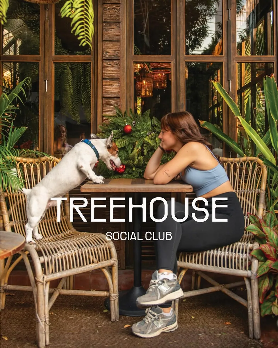 Treehouse Cafe & Bar (via instagram)