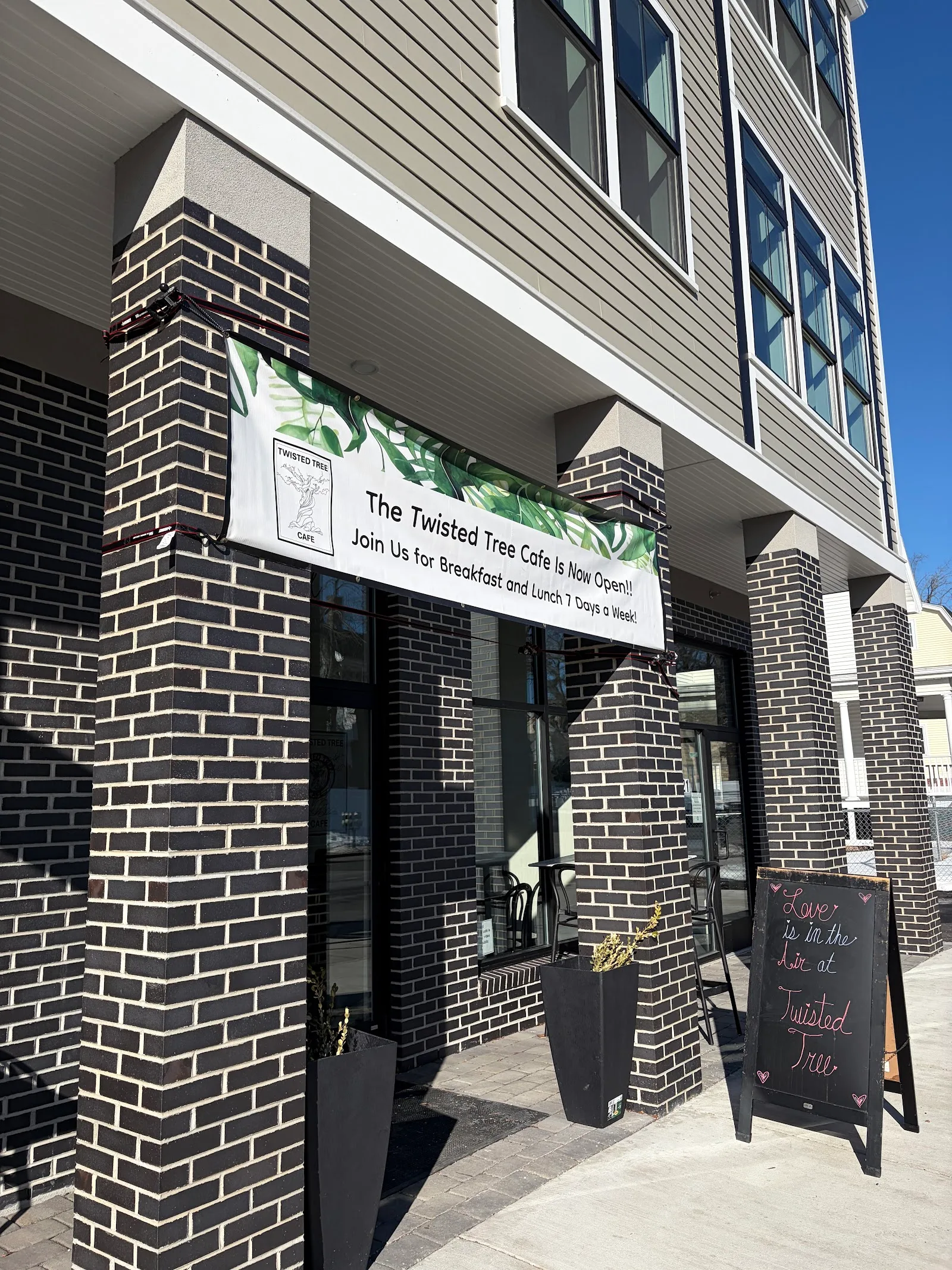 Twisted Tree Cafe in Boston, specialty coffee cafe