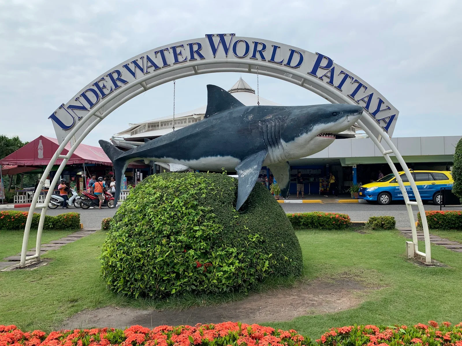 underwater world pattaya, aquarium cafe in pattaya