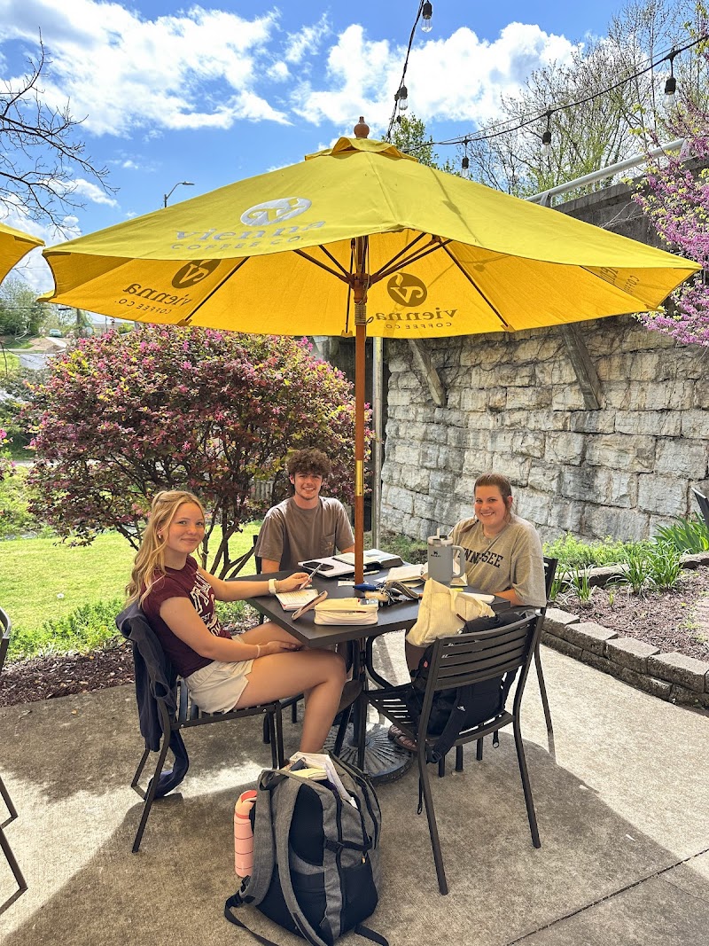 Vienna Coffee Company, LLC in Maryville — specialty coffee cafe