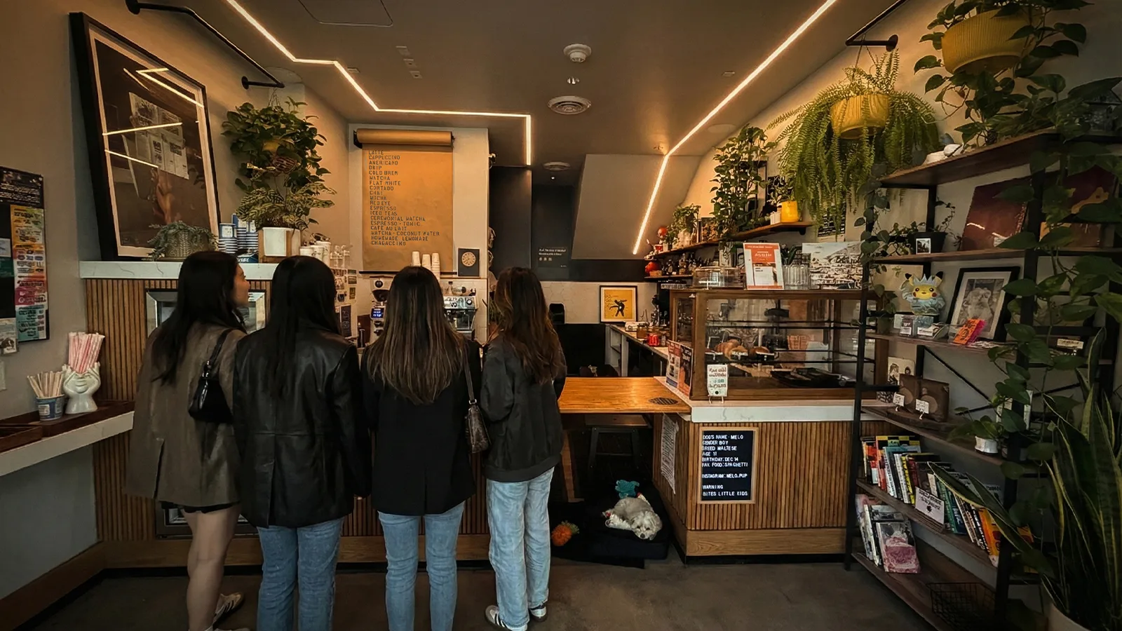 Virtue Coffee Roasters