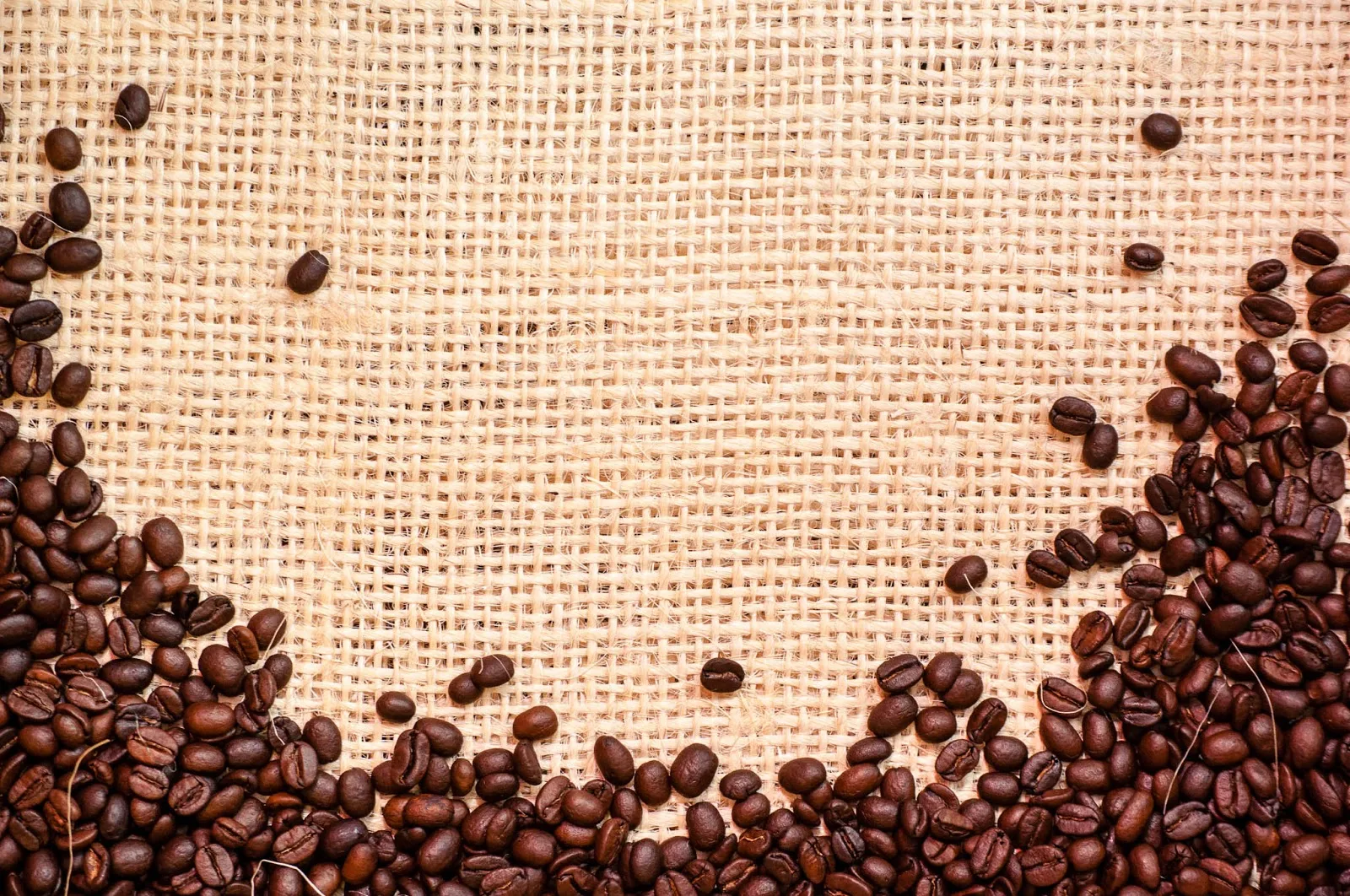 Vista Clara Coffee