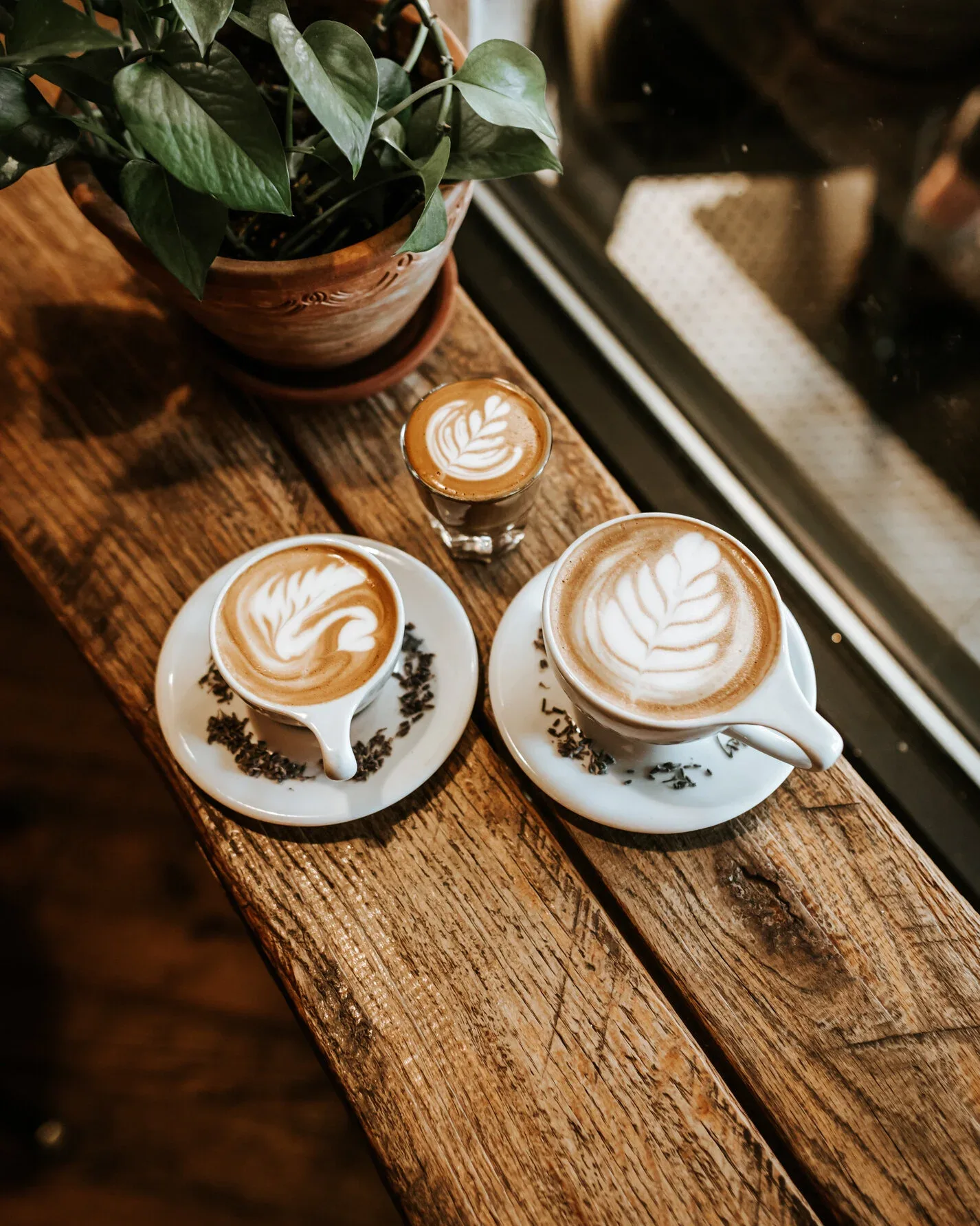 three latte art coffees on wooden table with potted plant by window., west oak coffee bar, texas