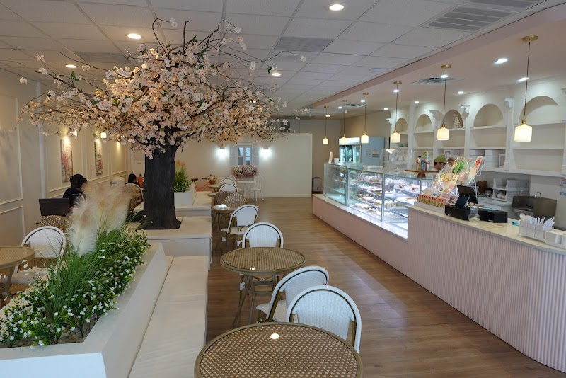 Whipped Bakery & Cafe in Austin, specialty coffee cafe