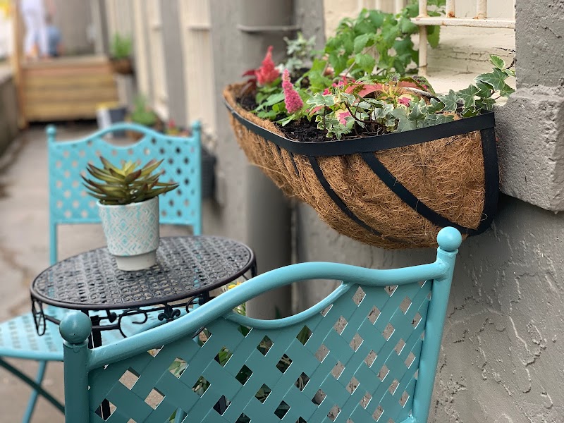Whiskers Cat Cafe & Coffeehouse in Kansas City — specialty coffee cafe